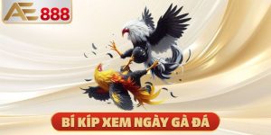 Bí Kíp Xem Ngày Gà Đá