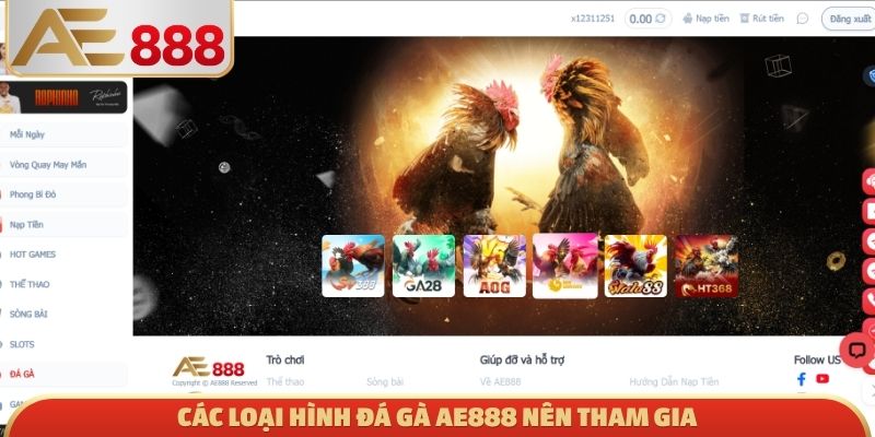 Các loại hình đá gà AE888 nên tham gia