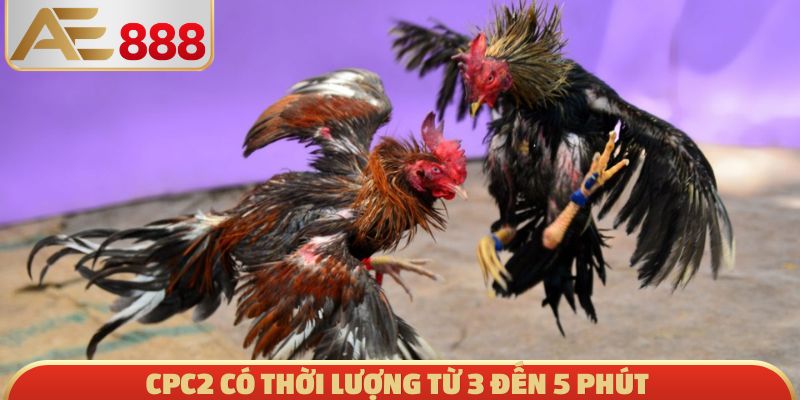 CPC2 có thời lượng từ 3 đến 5 phút