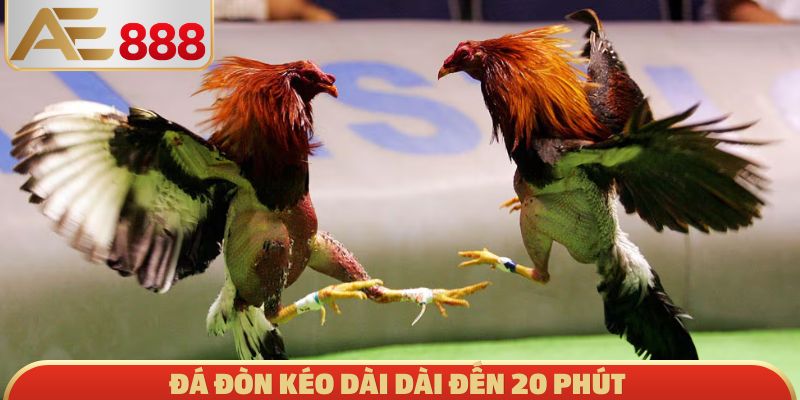Đá đòn kéo dài dài đến 20 phút