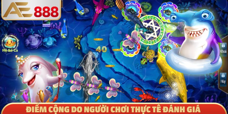 Điểm cộng do người chơi thực tế đánh giá