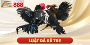Luật Đá Gà Tre