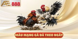 Màu Mạng Gà Đá Theo Ngày