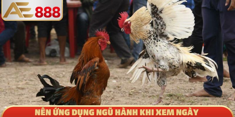 Nên ứng dụng ngũ hành khi xem ngày