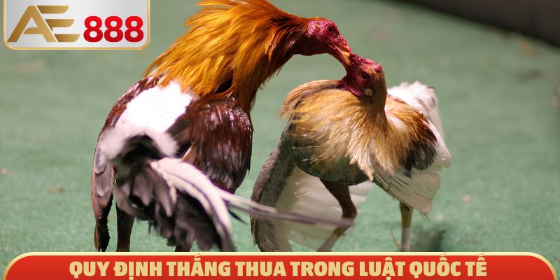 Quy định thắng thua trong luật quốc tế