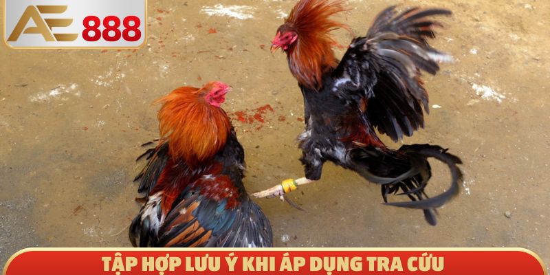 Tập hợp lưu ý khi áp dụng tra cứu