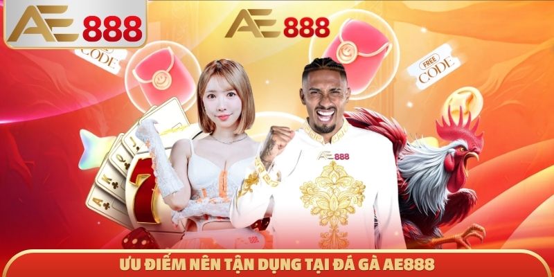 Ưu điểm nên tận dụng tại đá gà AE888